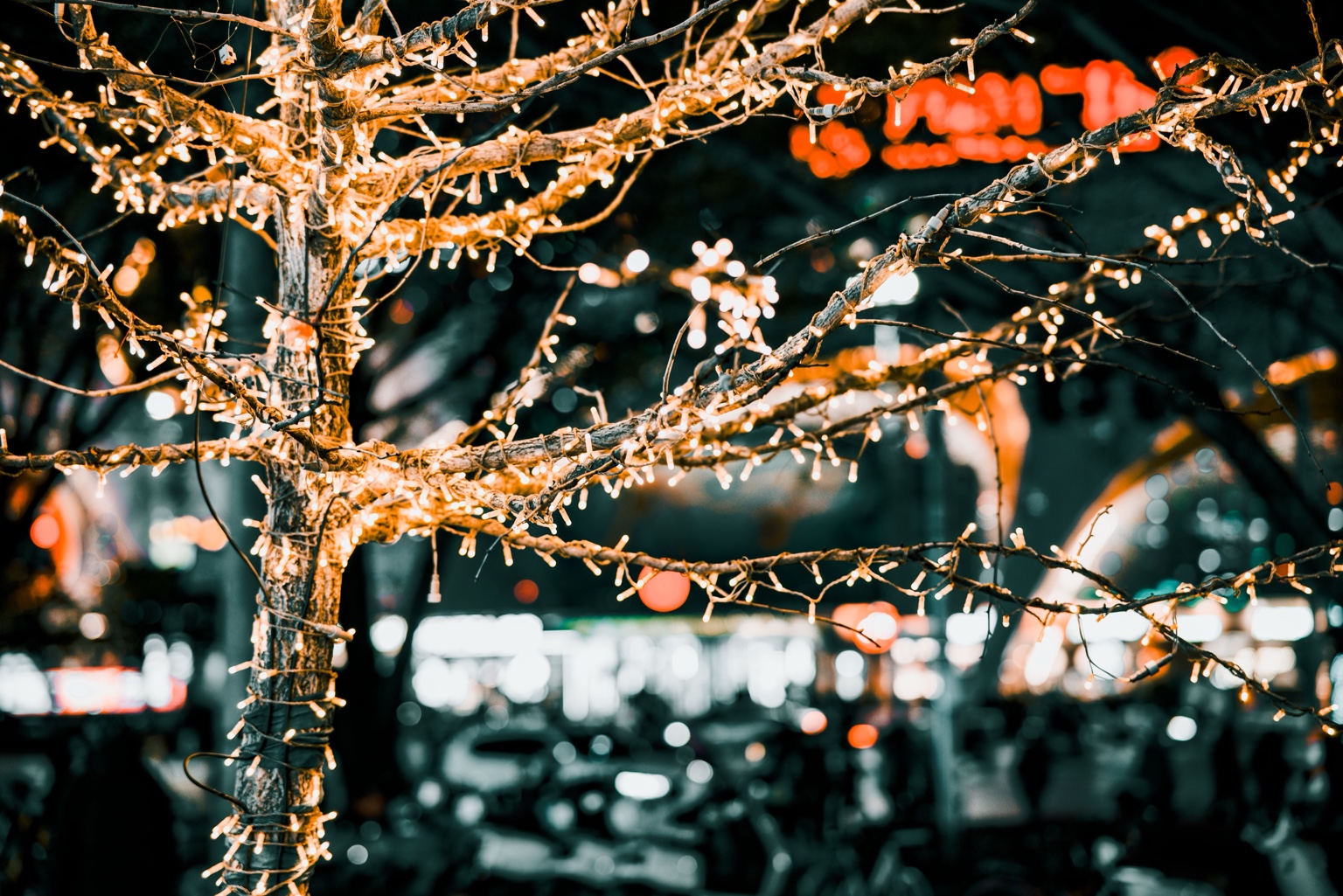 Tree branches wrapped in warm white Christmas lights at night