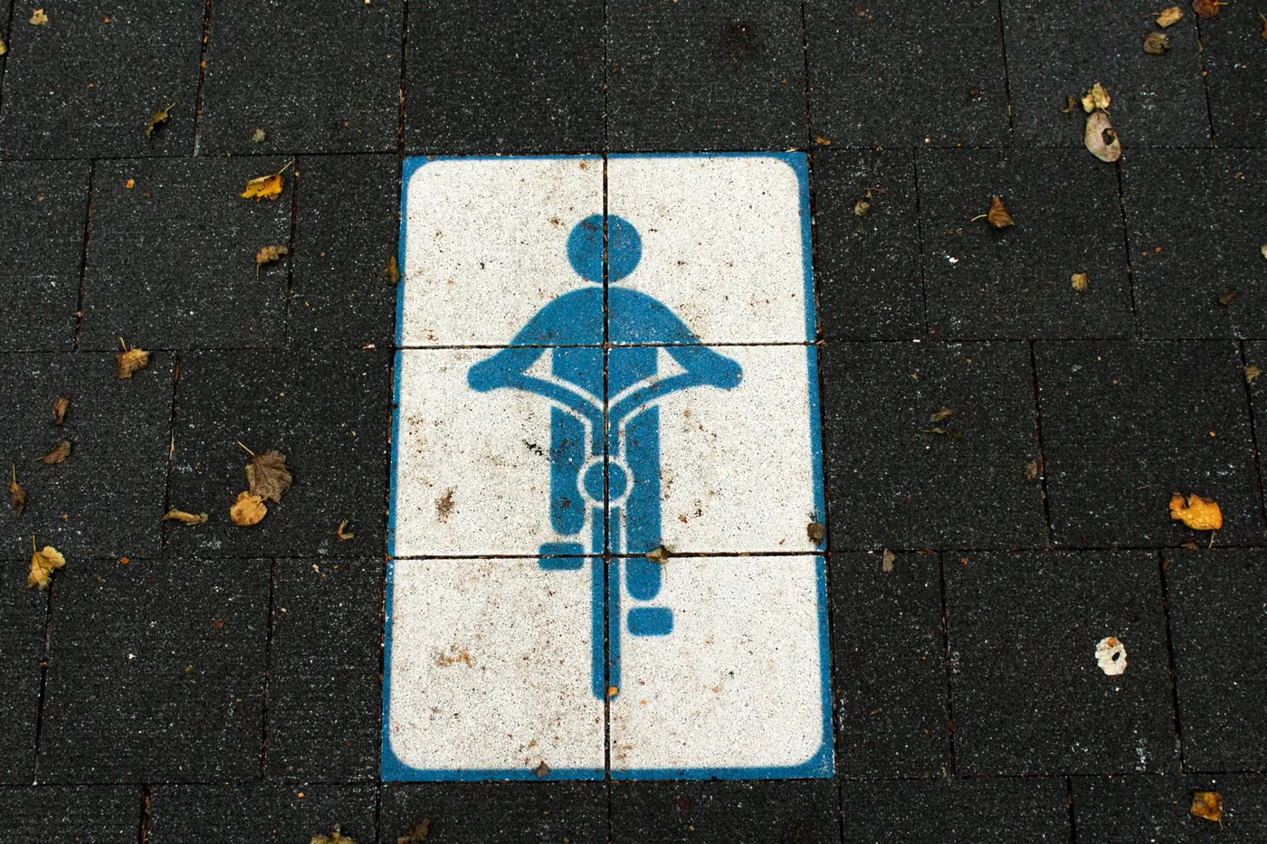 Blue cycle route symbol painted on paving