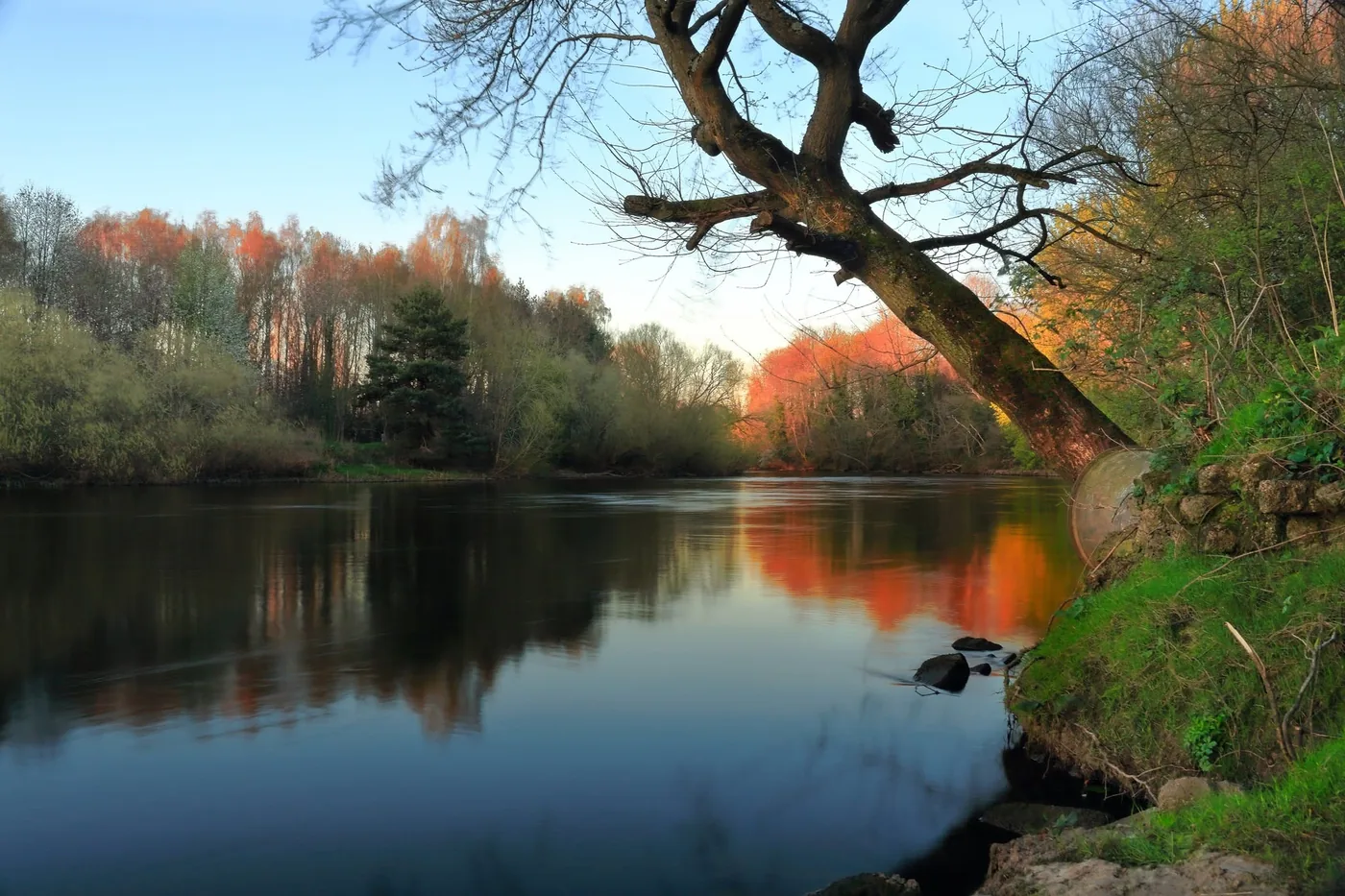 The River Trent beside Drakelow with woodland along the bank